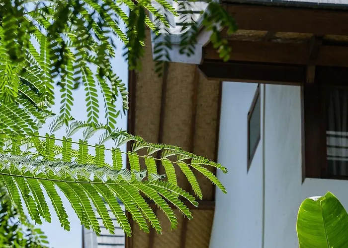 Treetop 1 - Spacious 3-bdr W Master Loft & Ocean Views Villa *