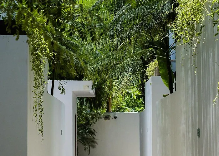 Treetop 1 - Spacious 3-bdr W Master Loft & Ocean Views Villa
